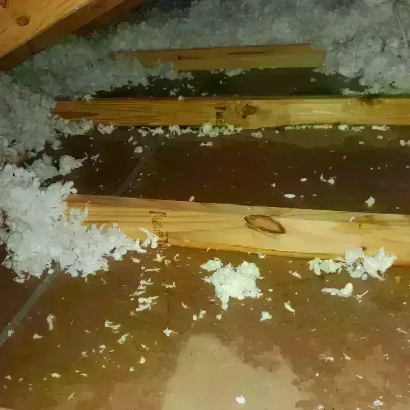 Attic Water Damage in Westminster, CA