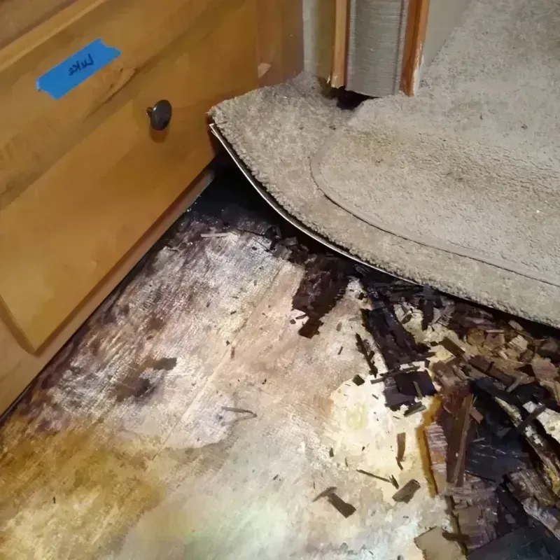 Best Wood Floor Water Damage Service in Westminster, CA